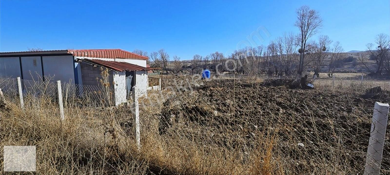 Ayaş Başbereket Satılık Tarla Alkan Dan~~ayaş~~baş Bereket~~3,200 Metre~~tek Tapu~~bahçe