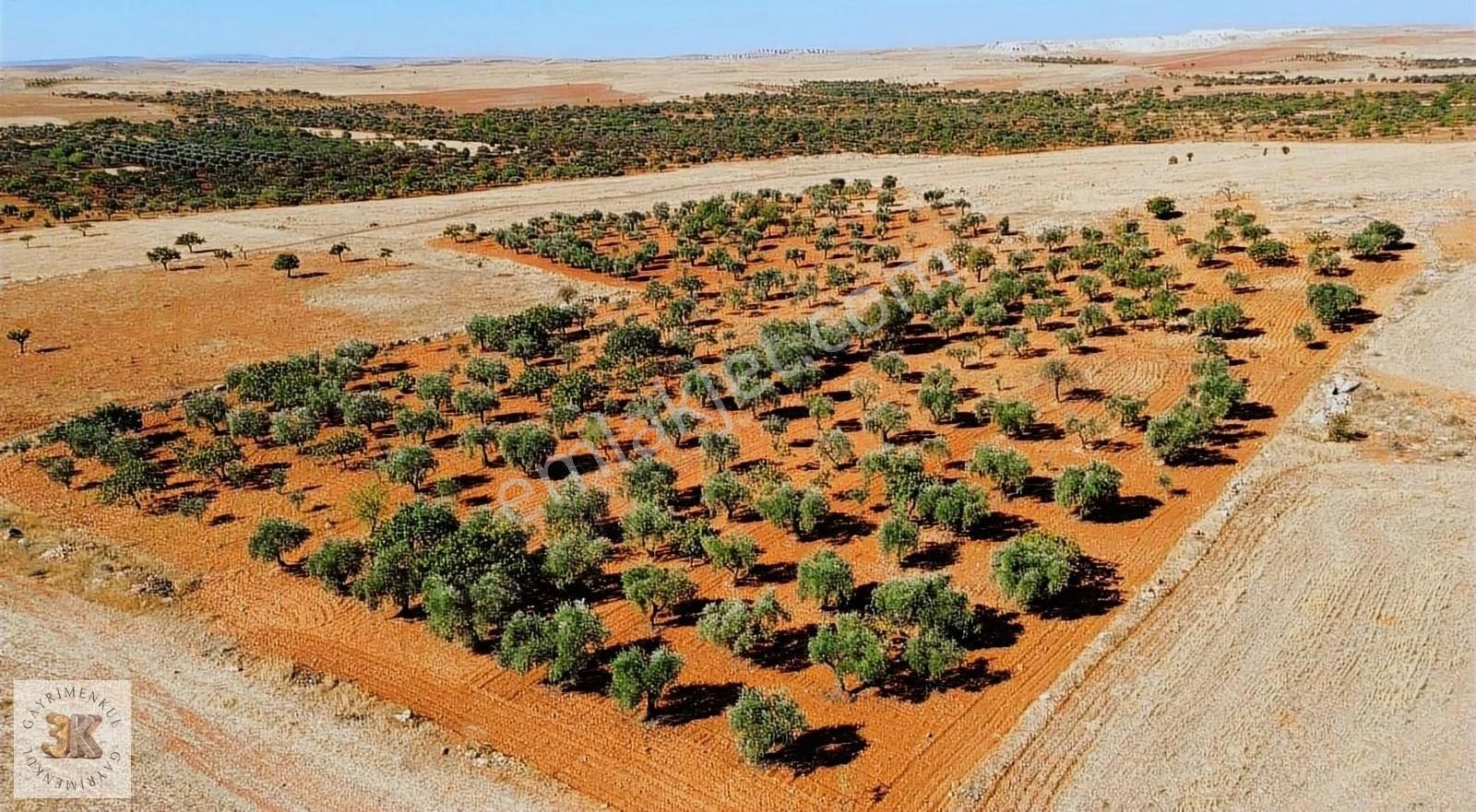 Şahinbey Bağlarbaşı Satılık Bağ & Bahçe 3k'dan Bağlarbaşında Kızılhisara Komşu Kupon Arazi