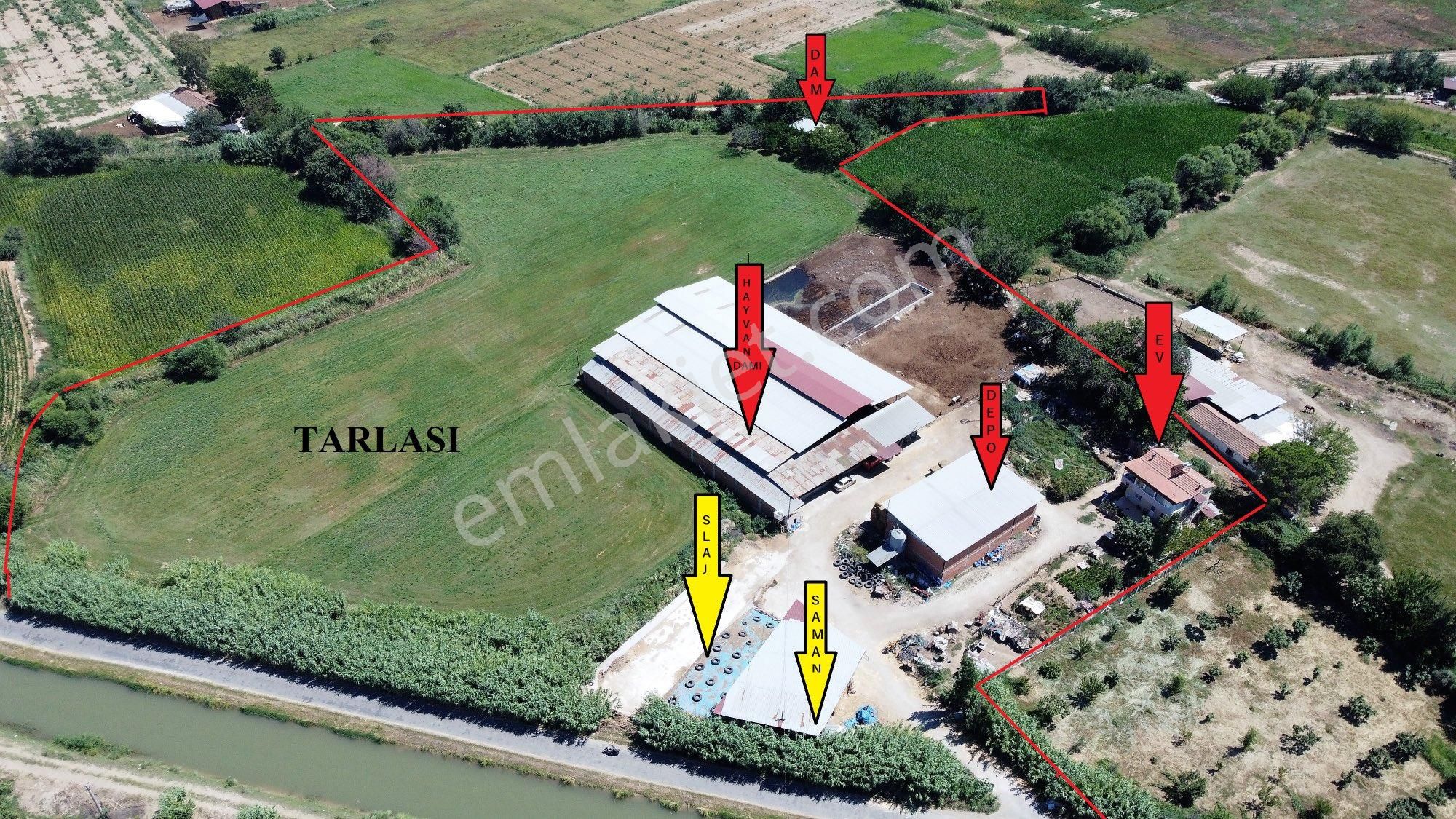 Aydın Sultanhisar Satılık Çiftlik Han Gayrimenkul'den Projeli Ruhsatlı 22.281 M2 Hayvan Çiftliği