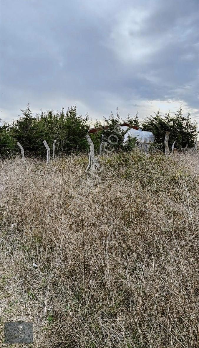 Arnavutköy Haraççı'da Satılık Arsa - Görsel 2