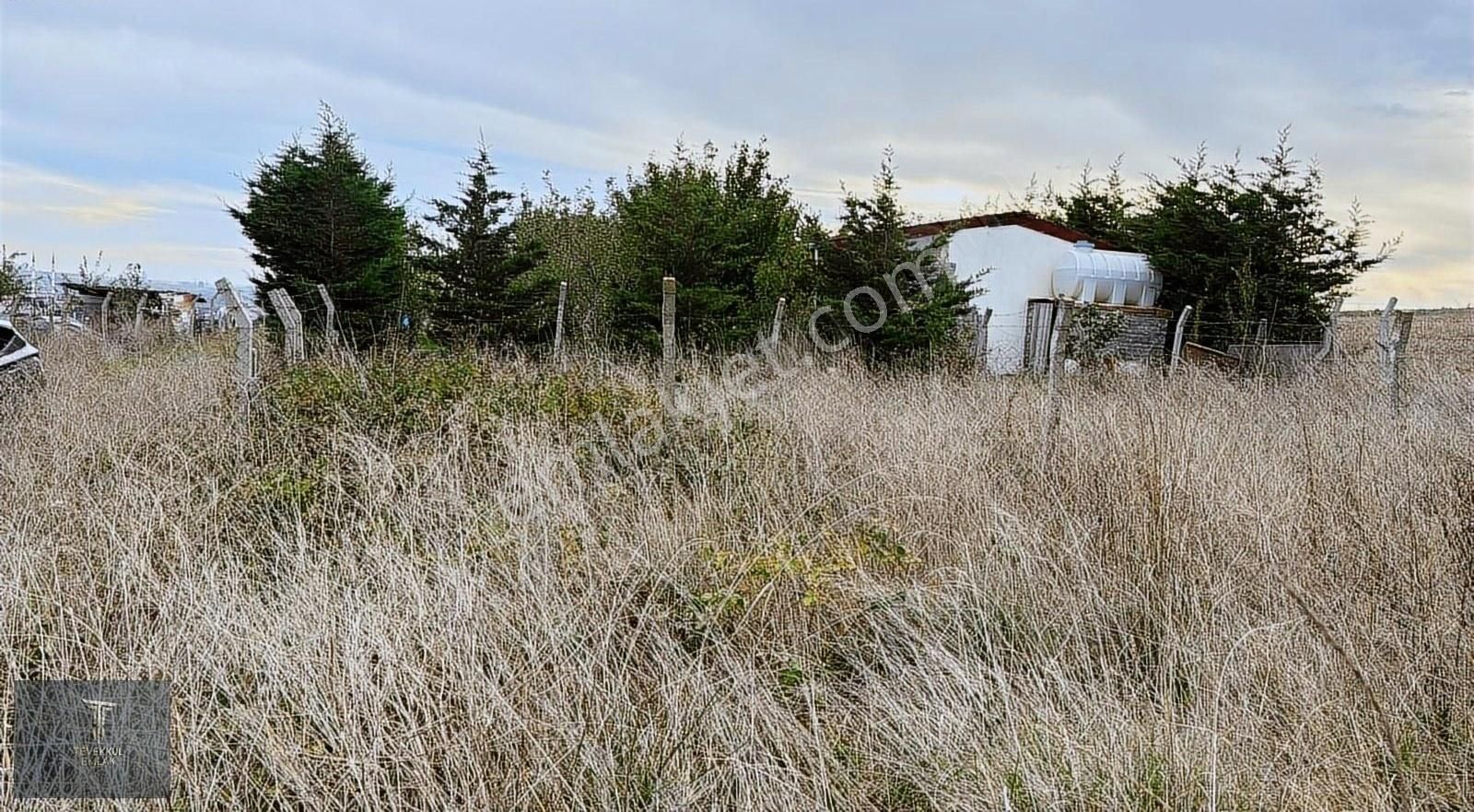 Arnavutköy Haraççı'da Satılık Arsa - Görsel 6