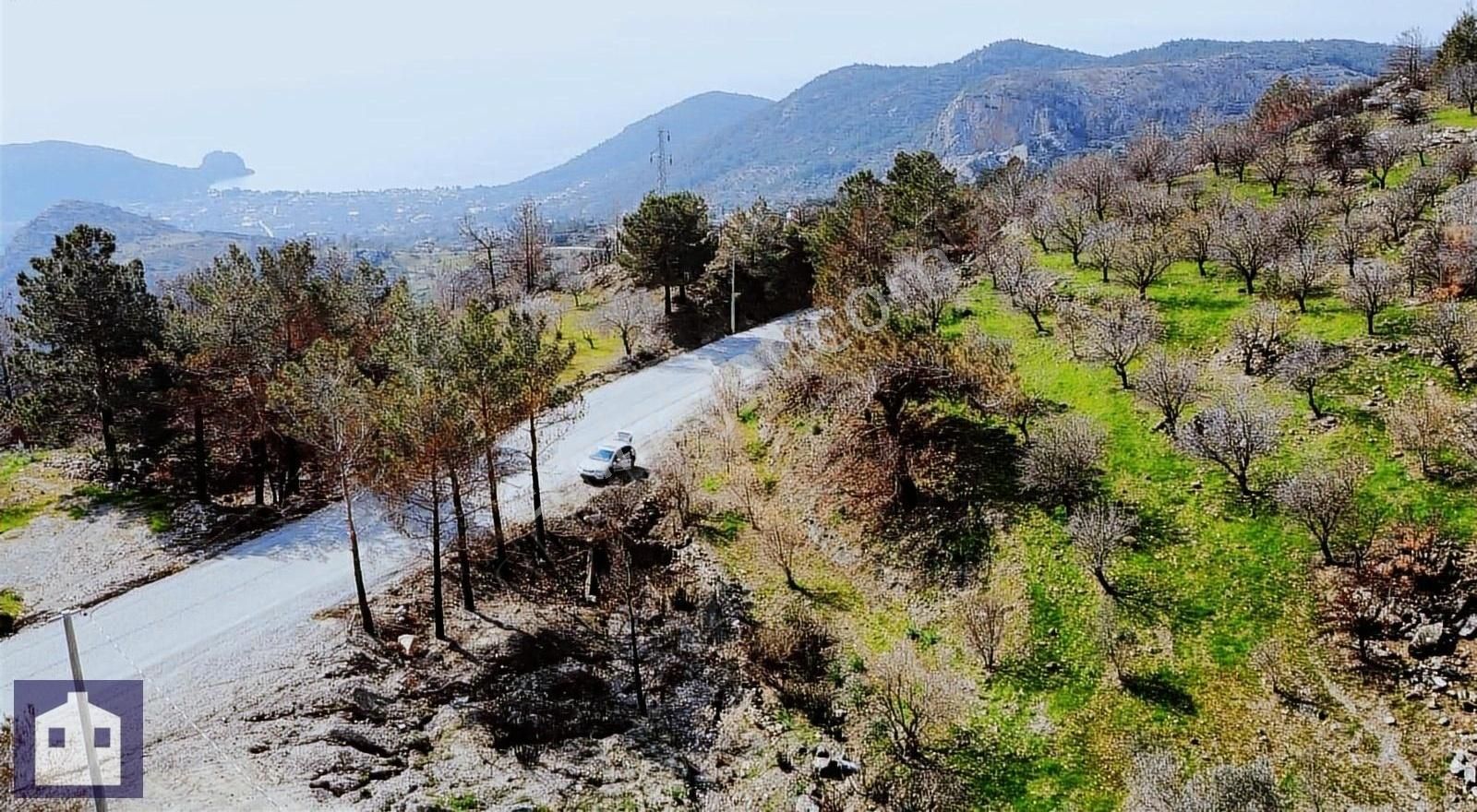 Datça Mesudiye Satılık Zeytinlik Kw Karia Dan Datça Mesudıye De Deniz Manzaralı Arazi