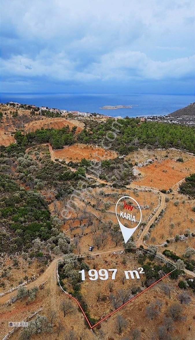 Datça Yaka Satılık Tarla Yaka Mah. Yatırımlık Bademlik Kw Karia'dan