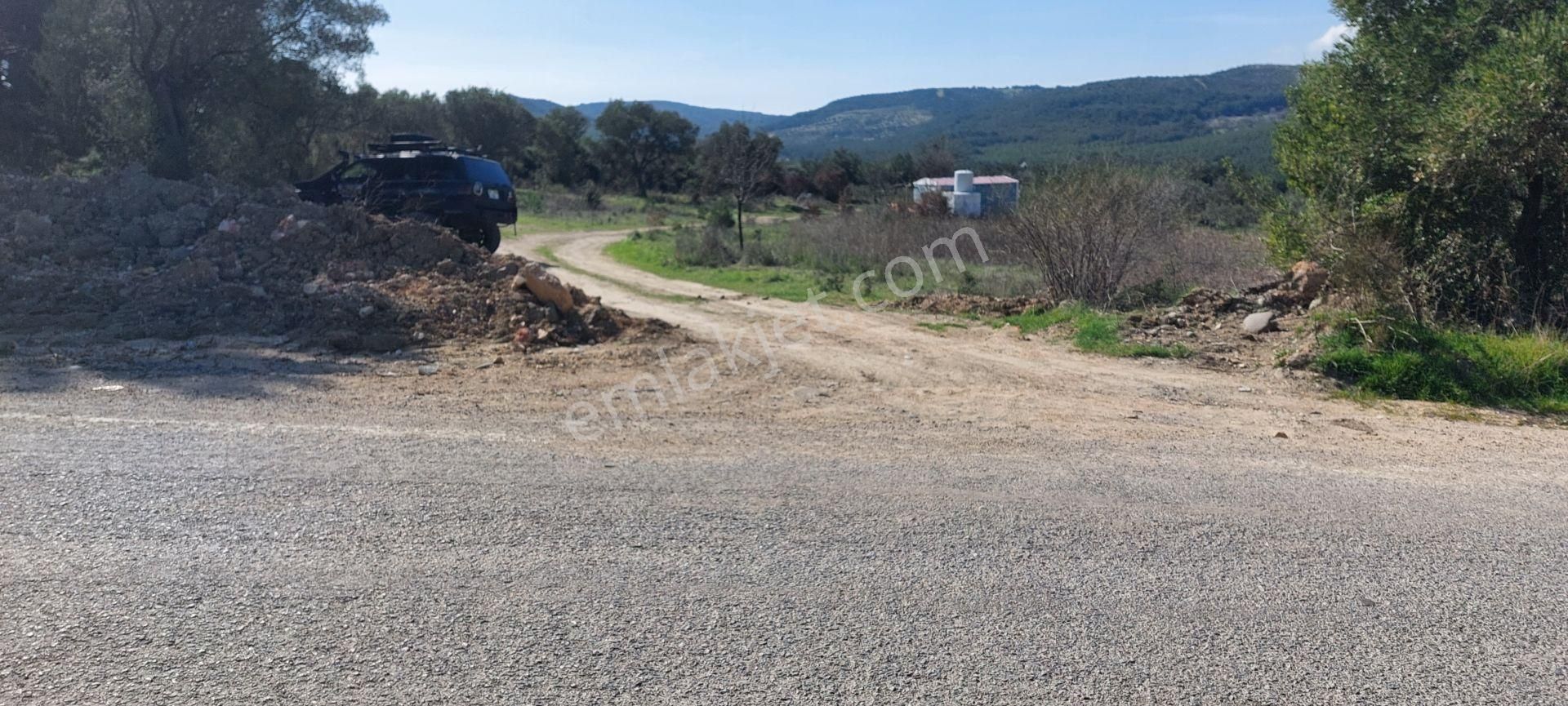 Bergama Koyuneli Satılık Tarla Afacan Dan Koyuneli De Asfalta Sıfır Satılık Arazi