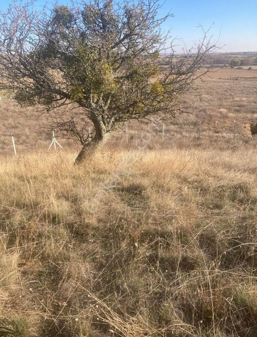 Kırklareli Merkez Üsküp Bld. (Mehmet Çavuş) Satılık Tarla Kırklareli Merkez Üsküp'de 2.259 M2 Tarla Yolu Var