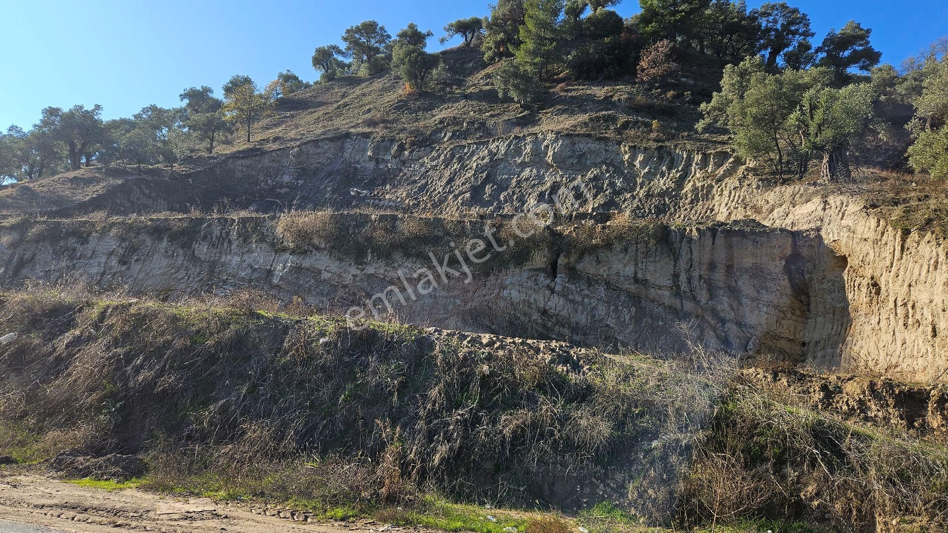 Nazilli Kardeşköy Satılık Tarla Ödemiş Karayolu 70 Metre Cepheli