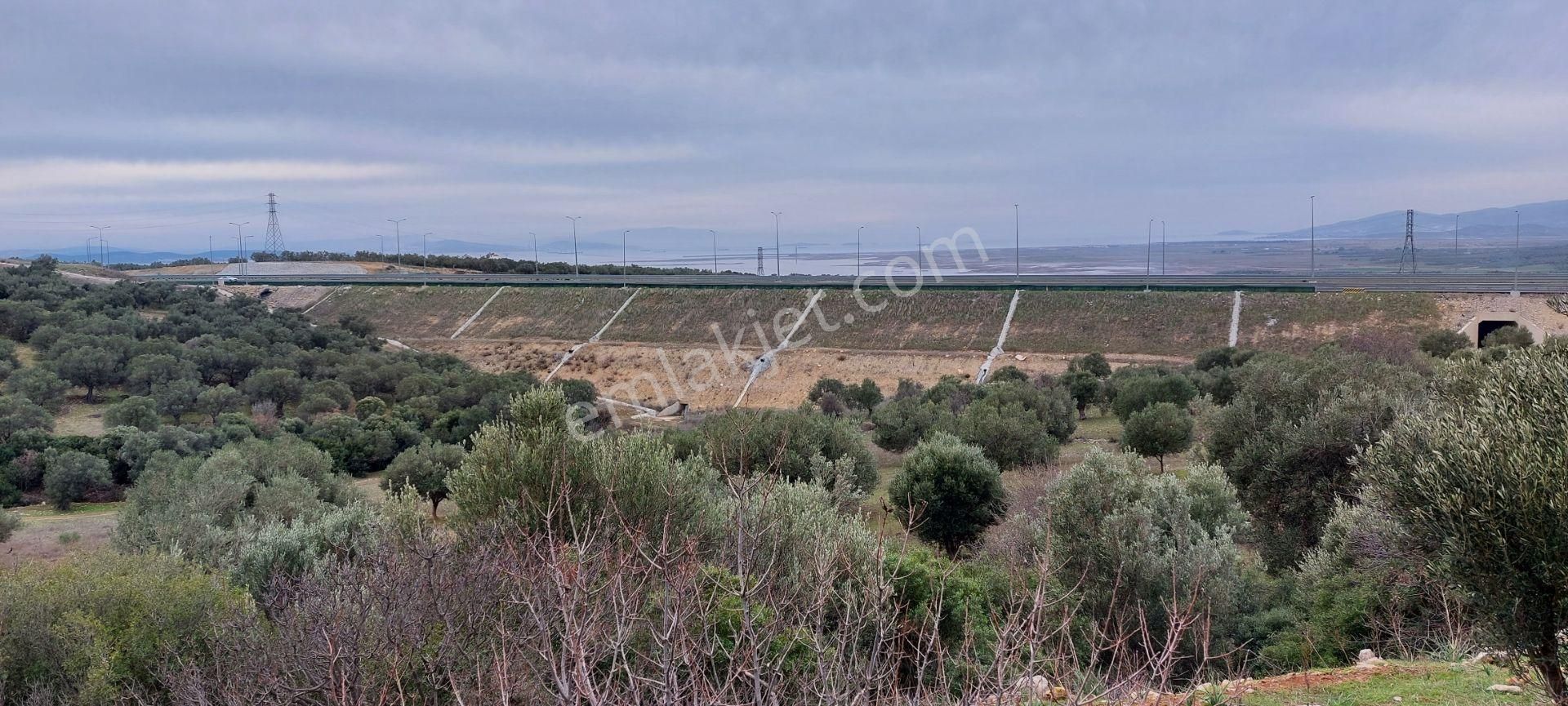 Bergama Zeytindağ Satılık Tarla Afacan Dan Zeytindağ Otoyol Yakını Satılık Deniz Manzaralı Arazi