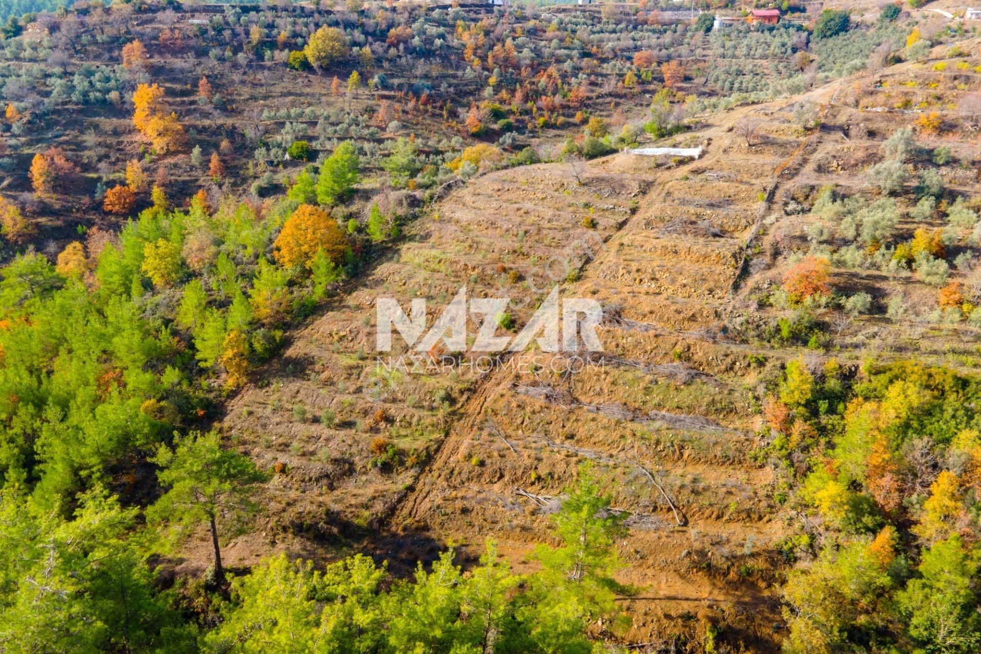 Alanya Şıhlar Satılık Tarla Alanya Şıhlar Köyü’nde Satılık 3.451 M² Tarla