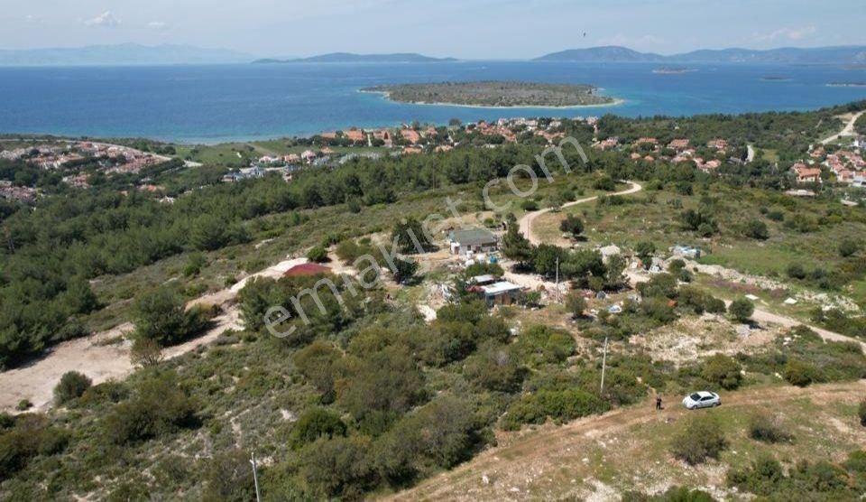 Çeşme Germiyan Satılık Zeytinlik Çeşme'nin Gözdesi Germiyan'da Satılık Tarla