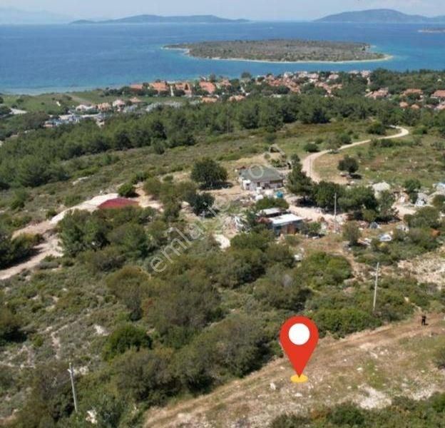 Çeşme Germiyan Satılık Zeytinlik Çeşme'nin Gözdesi Germiyan'da Satılık Tarla