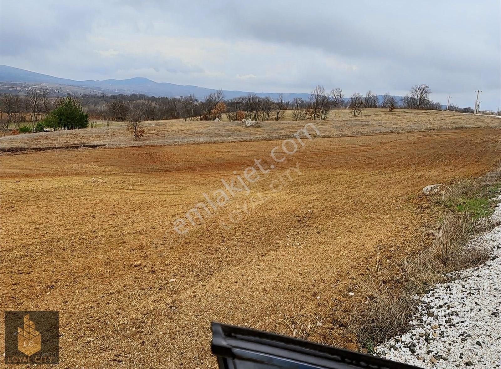 Orhaneli Balıoğlu Satılık Tarla Orhaneli İlçesi Balıoğlu Mah.'de Satılık 14.300 M2 Tarla