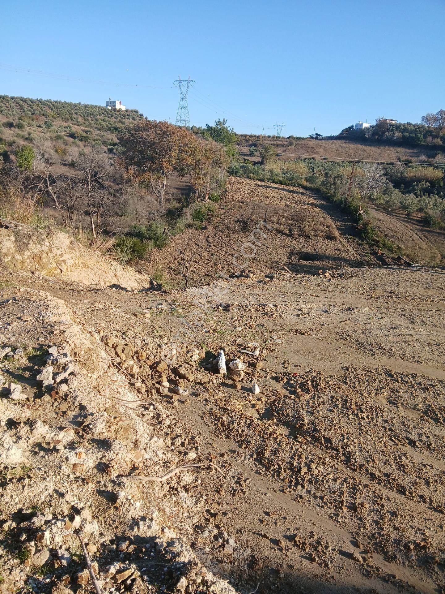 Manavgat Hacıisalı Satılık Tarla Manavgat Merkeze 13 Km D400 Kara Yoluna 5 Km.deniz Gören Ev Yapmaya Uygun Arazi