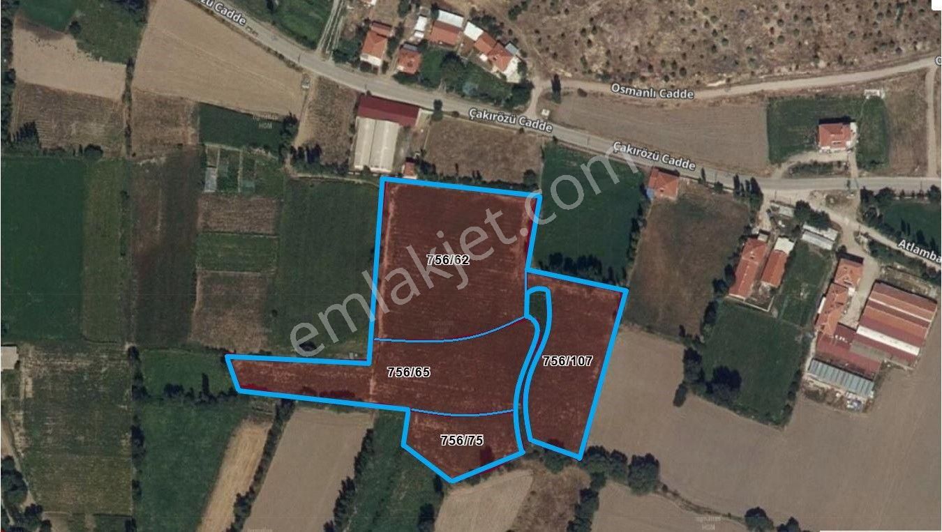 Şuhut Taşlıca Satılık Tarla İlbey // Şuhut Taşlıca Mah. Çakırözü Cad. Yanında 16670 M² Tarla