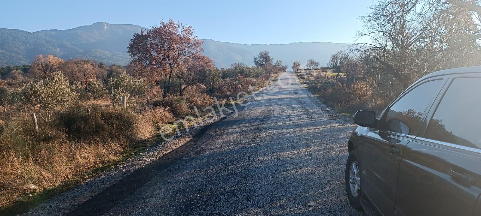 Bayramiç Çavuşlu Köyü Satılık Bağ & Bahçe Çanakkale Bayramiç Çavuşlu Köyünde Satılık Bağ