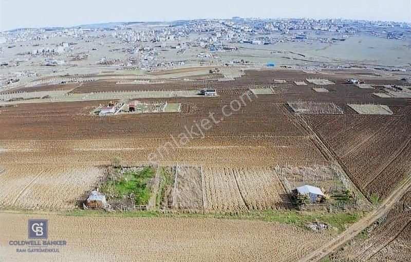 Arnavutköy Haraççı Satılık Tarla Arnavutköy Haraççı'da Çevrili 276 M2 Satılık Kupon Arsa