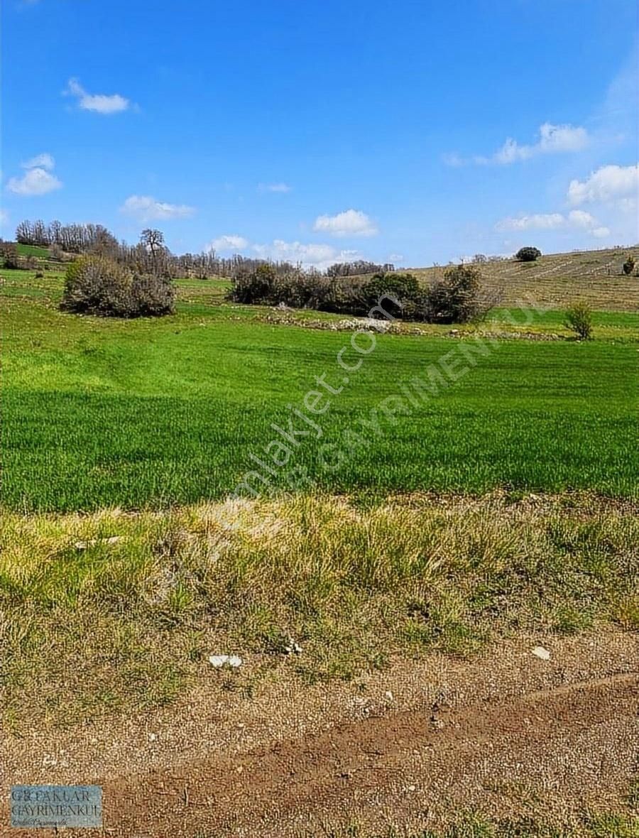 Kandıra Çakmaklar Satılık Tarla Kandıra'da 1.955 M2 Satılık Tarla Yolu Mevcut