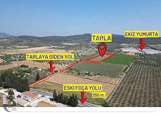 Foça Ilıpınar Satılık Tarla İzmir Foça Ilıpınar Mahallesi'nde 376m² Satılık Tarla