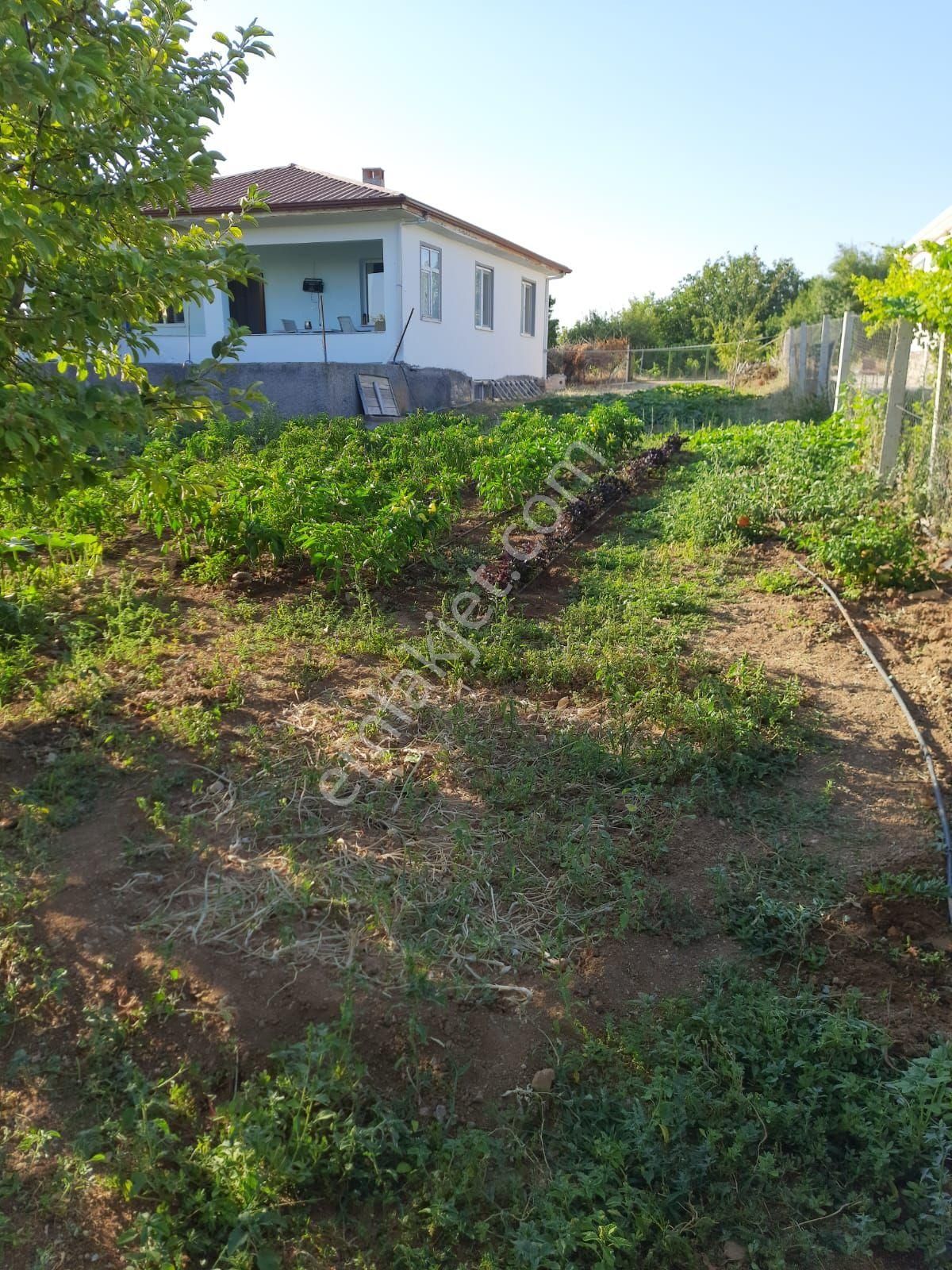 Elazığ Merkez Pelteköy Köyü Satılık Bağ & Bahçe Keban Yoluna Çok Yakın Pelte Köyünde Satlık 5 Dönüm Bahçeli Ev