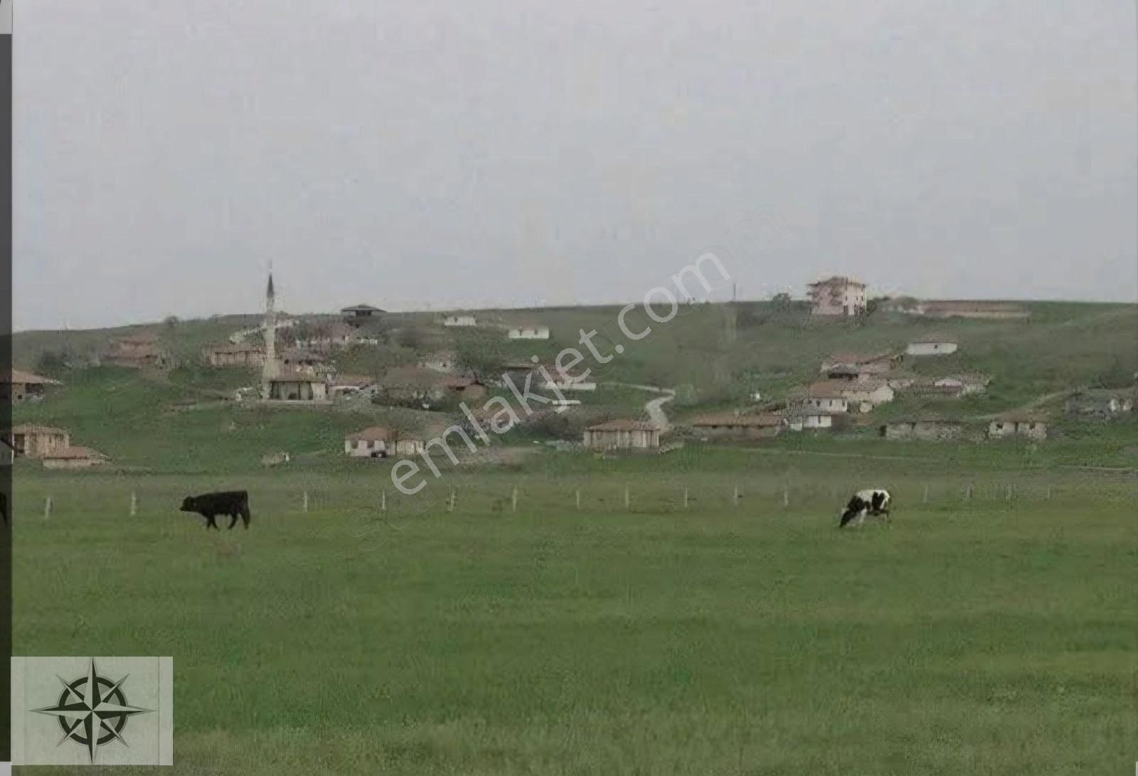 Kızılırmak Bayanpınar Köyü Satılık Tarla Çankırı-kızılırmak Köyiçinde 9.965 M2 Tek Tapu