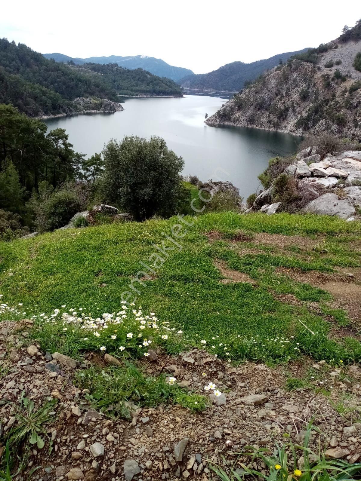 Köyceğiz Akköprü Satılık Tarla Dyk Emlaktan Köyceğiz Akköprü Barajı Karşısında Satılık Arsa