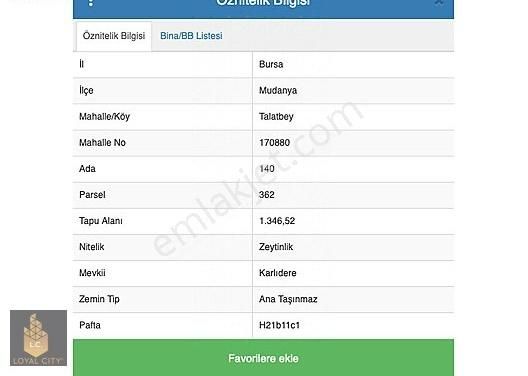 Mudanya Tirilye Satılık Zeytinlik Mudanya İlçesi Talatbey De Satılık 1.346,52 M2 Zeytinlik