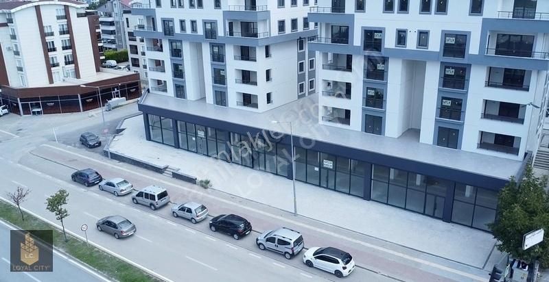 Nilüfer Demirci Kiralık Dükkan & Mağaza Demirciyolu Cd.' De 1000 M2 Kurumsal Firmalara Kiralık İşyeri