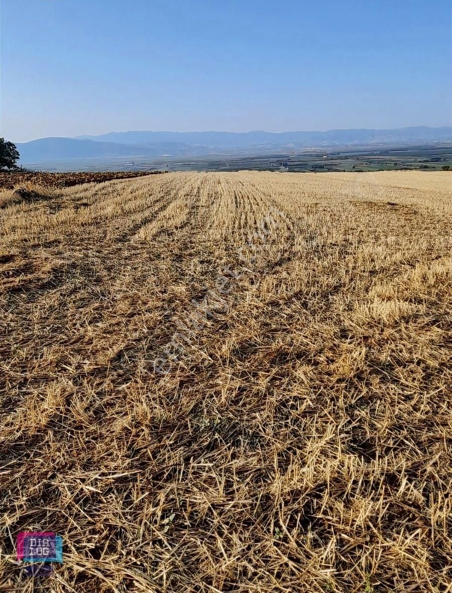 İnegöl Sungurpaşa Satılık Bağ & Bahçe Dialog Mihter'den 1479m2 İmarlı Arazi