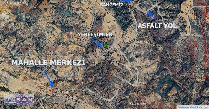 Manisa Demirci'de 180 M2 Telefon Parasına Zeytinlik Alanda Bahçe - Görsel 4
