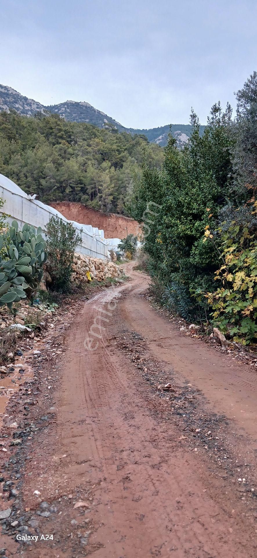 Kumluca Mavikent Satılık Tarla Konum Olarak Mükemmel Yol Su Sorunu Yok