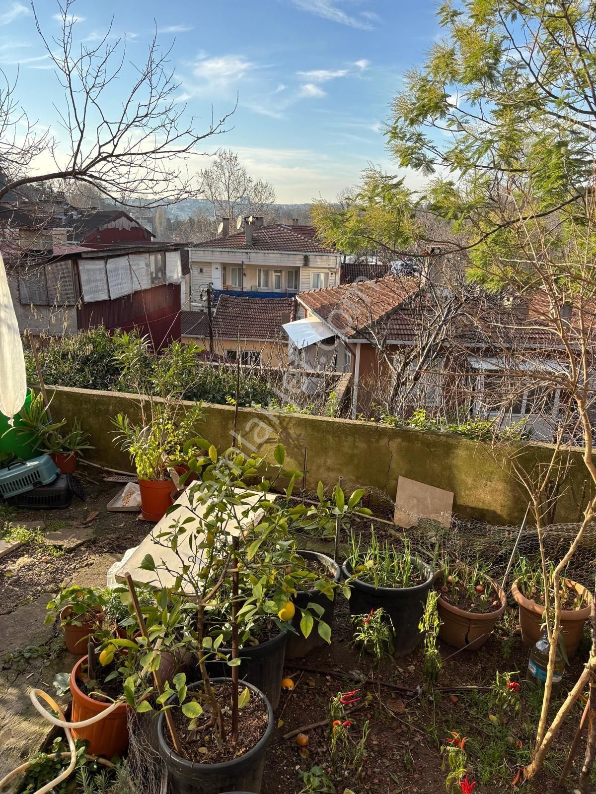 Beykoz Yalıköy Satılık Daire Or-kay Gayrimenkul'den Satılık Bahçeli Daire