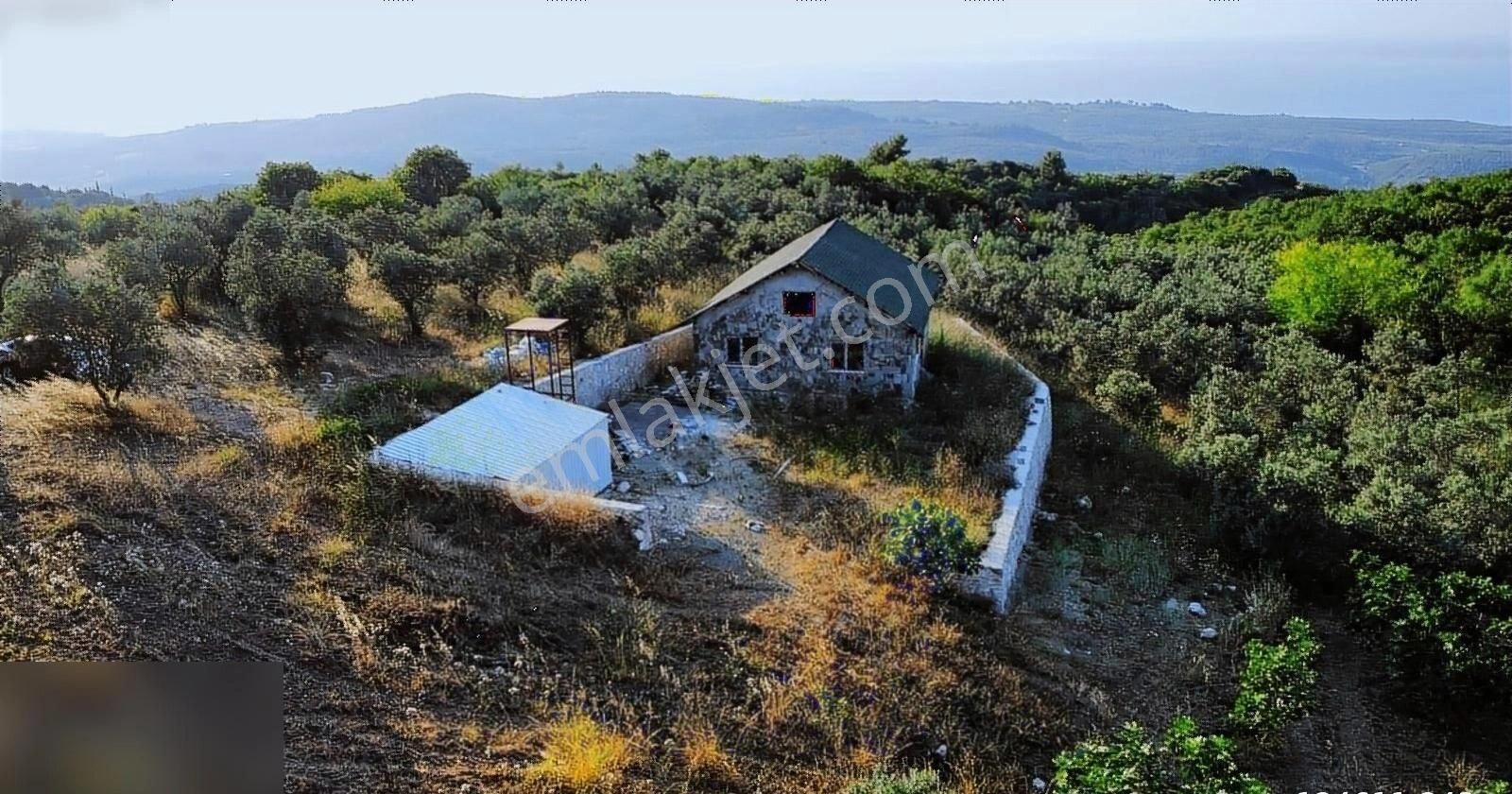 Mudanya Tirilye Satılık Zeytinlik Özcan Çiftci'den Deniz Manzaralı İçinde Bağ Evi Olan Zeytinlik.