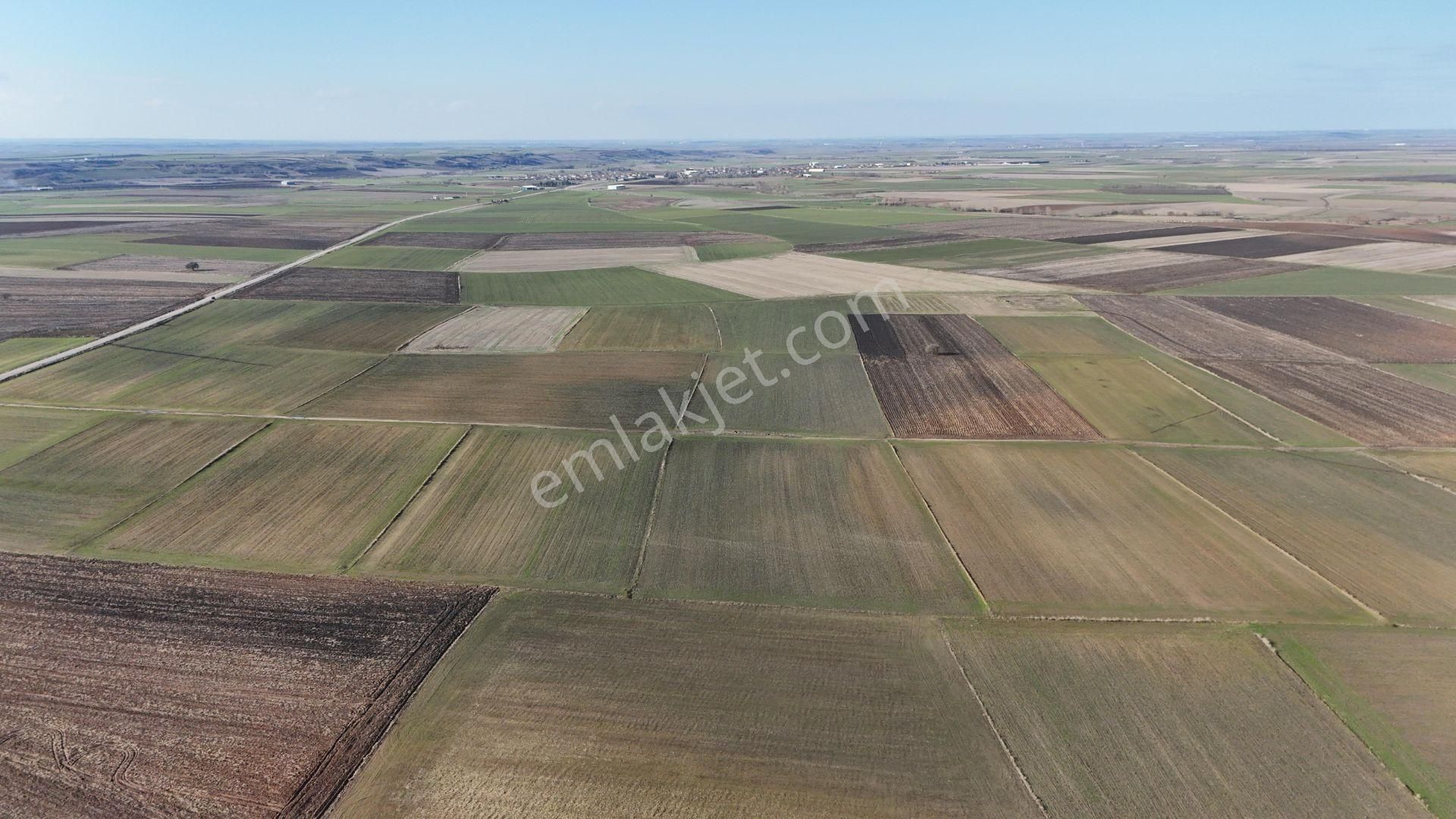 Lüleburgaz Alacaoğlu Köyü Satılık Tarla Vera'dan Resmi Yolu Olan 2 Parça 20200 M2 Satılık Tarla