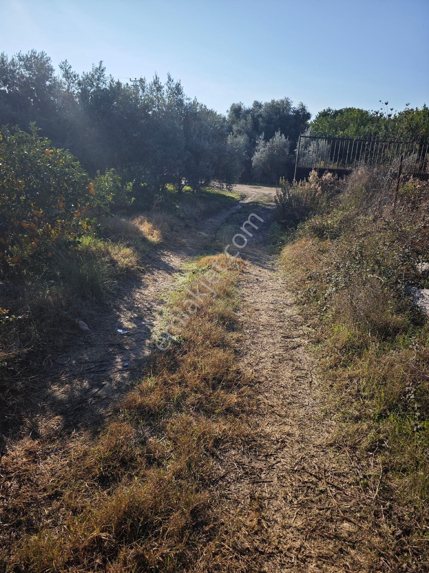 Mezitli Davultepe Satılık Tarla Davultepe De 6000 M2