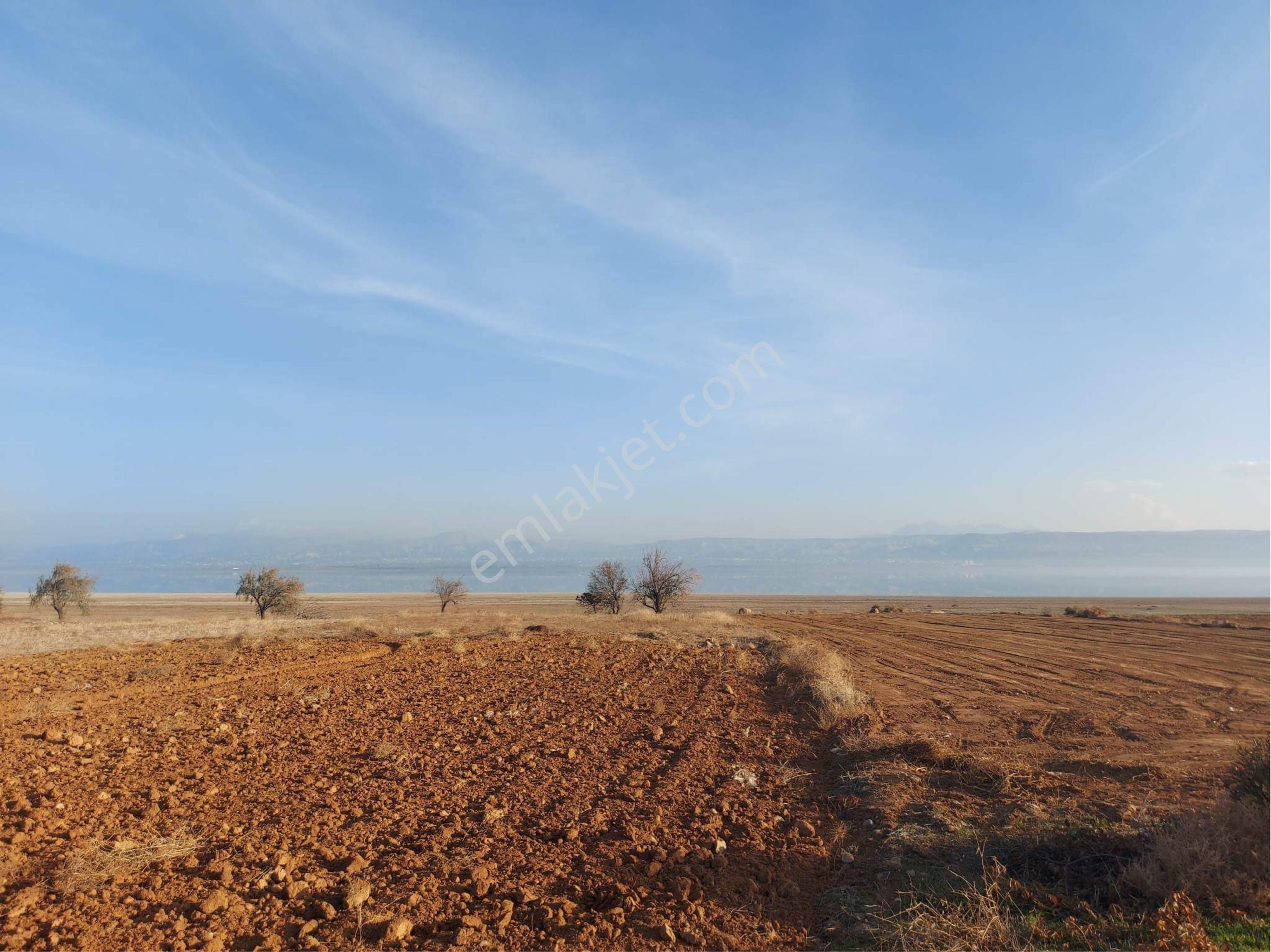 Burdur Merkez İlyas Köyü (Çay) Satılık Tarla Burdur Merkez İlyas Köyü