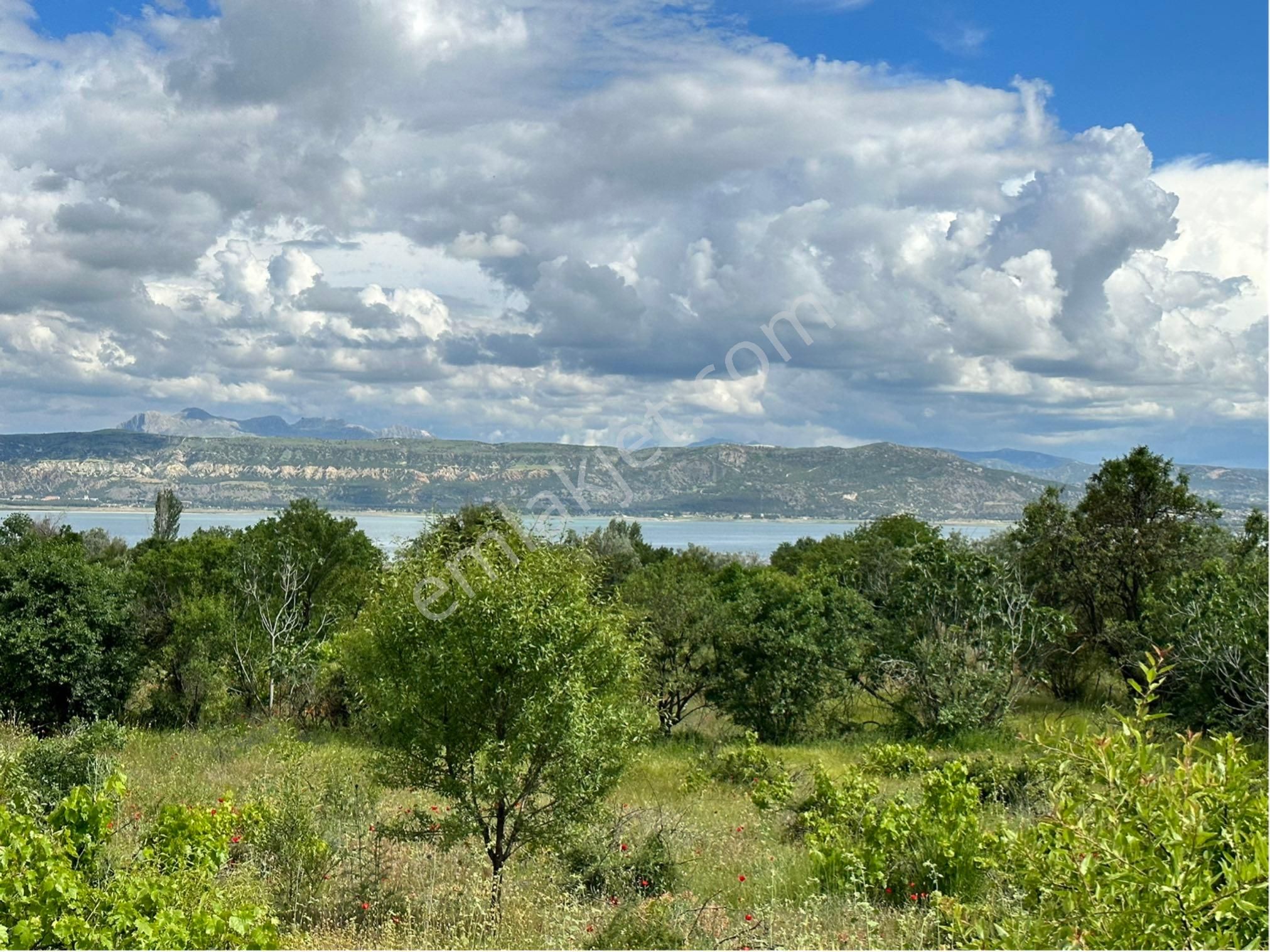 Burdur Merkez İlyas Köyü (Çeşmeönü) Satılık Tarla Üzüm Ve Ceviz Bahçesi