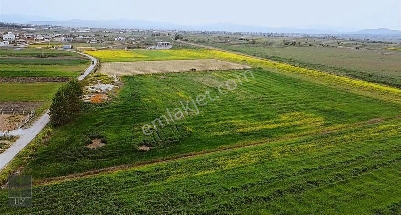 Altıeylül Karaman Satılık Tarla Hly Gayrimenkulden Karaman Mahallesinde 15000 M2 Satılık Tarla