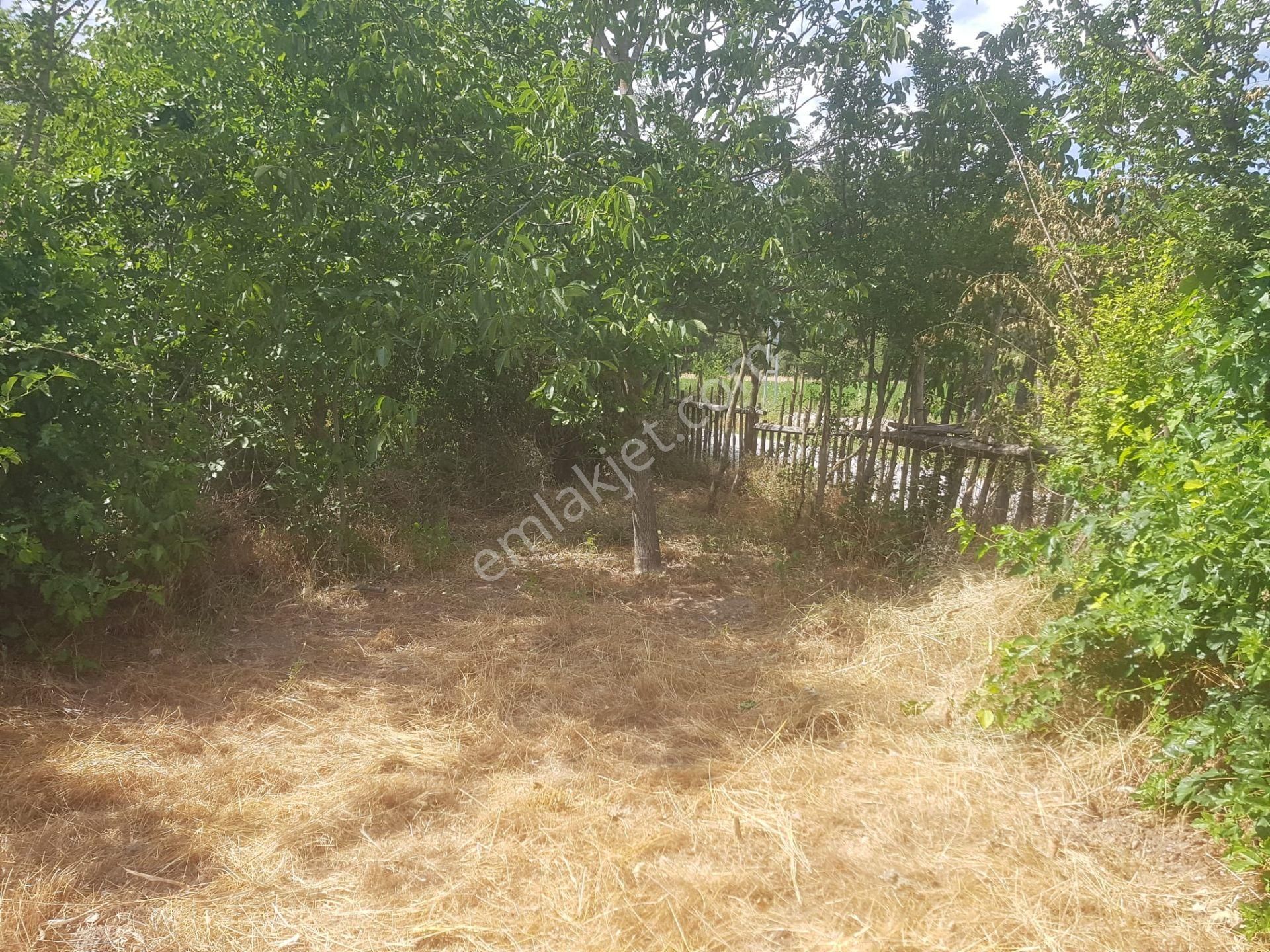 🦋lobby Fortis'ten Satılık Acıpayam Suçatı'da 413 M² Ev, Ahır Ve Bahçe🦋 - Görsel 14