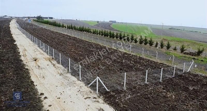 Silivri Kurfallı Satılık Tarla Silivri Kurfallı İmarın Sınırında Yatırılımlık Köy İçinde Tarla