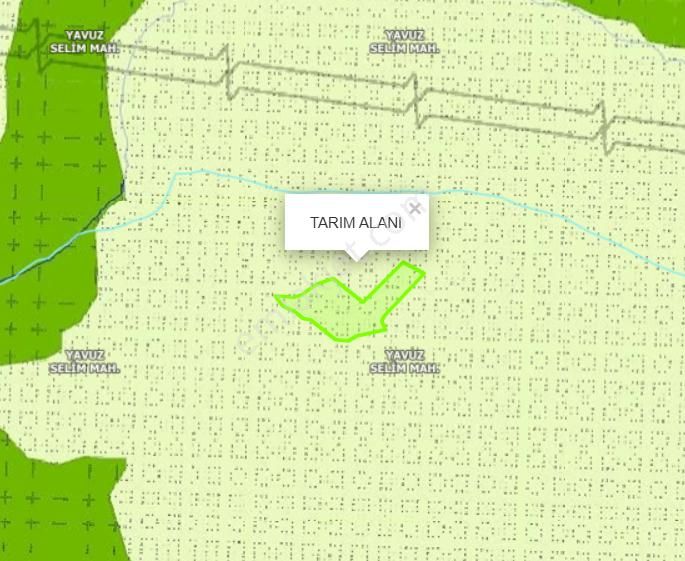 Bünyan Yavuz Selim Satılık Tarla Cb Zenith I Bünyan Yavuzselim'de Tek Tapu 43.400 M2 Satılık Tarla