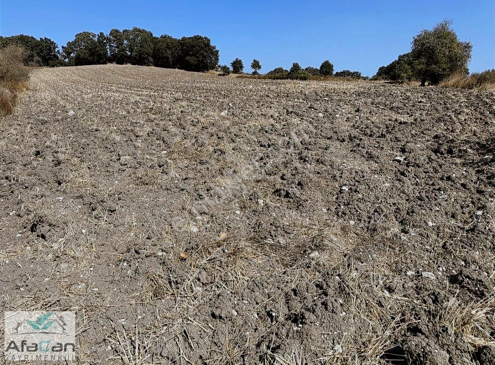 Karesi Yağcılar Satılık Tarla Bu Fiyata Kaçmaz 11700 M2 Asfalta Cephe İki Köy Arası Arazi!!!