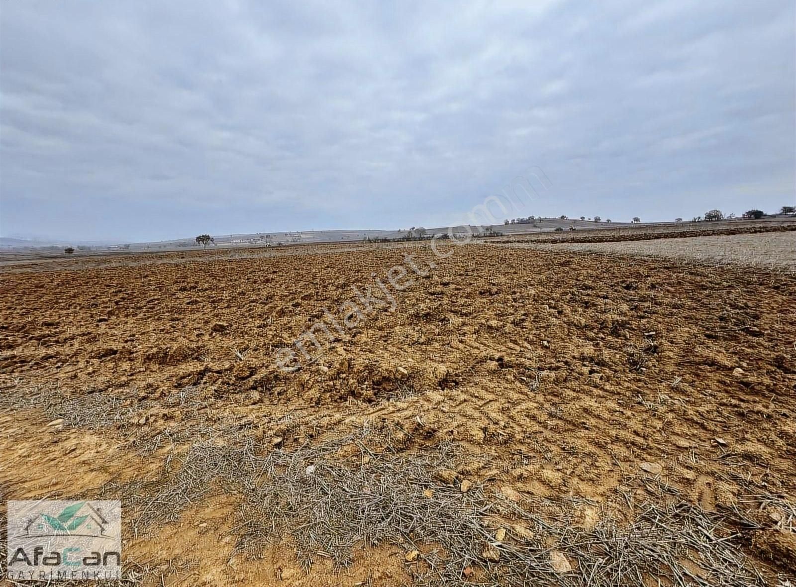 İster Hobi Bahçesi Yap İster Bahçe, Çiftcephe Yol Kenarı Arazi! - Görsel 5