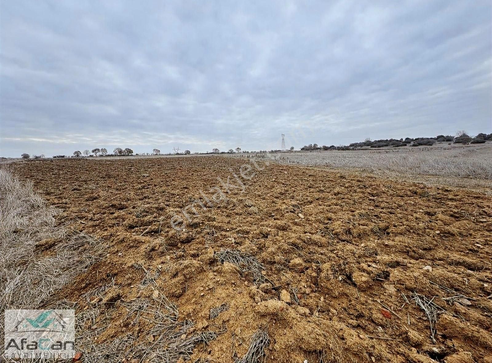İster Hobi Bahçesi Yap İster Bahçe, Çiftcephe Yol Kenarı Arazi! - Görsel 21