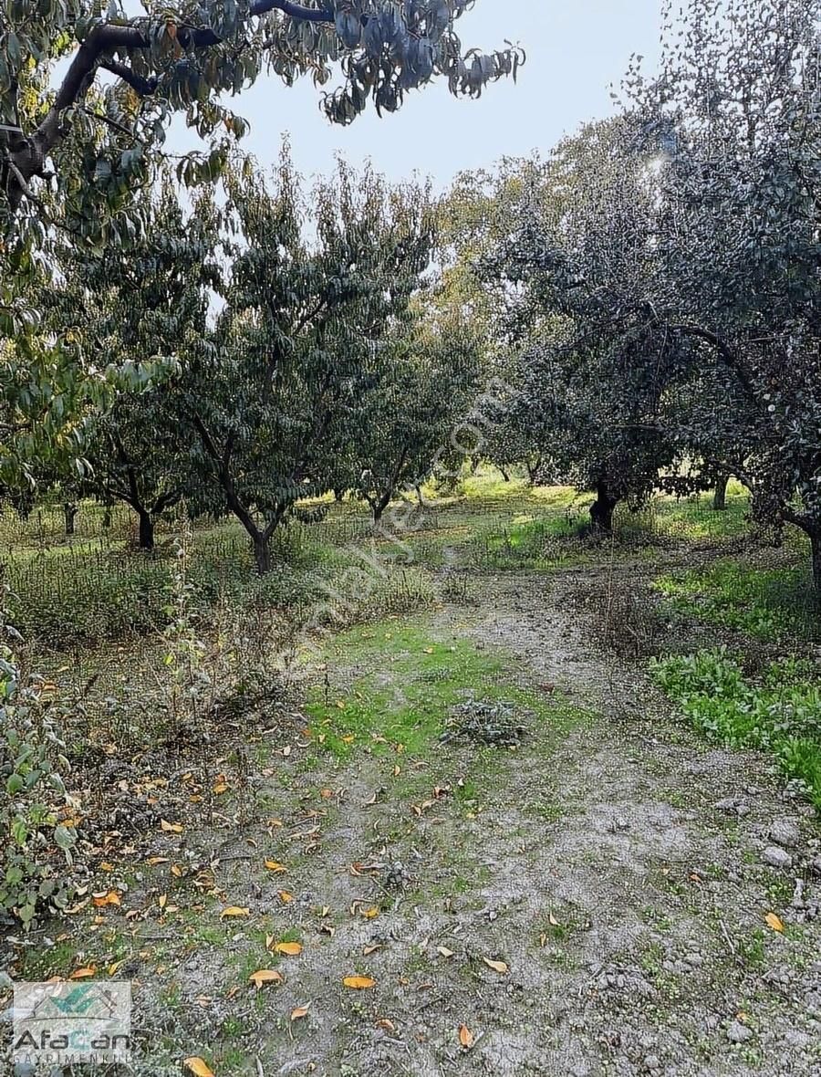 Bursa Yeniceabat Okullar Bölgesi Arkası 5173 M2 Mükemmel Arazi! - Görsel 19