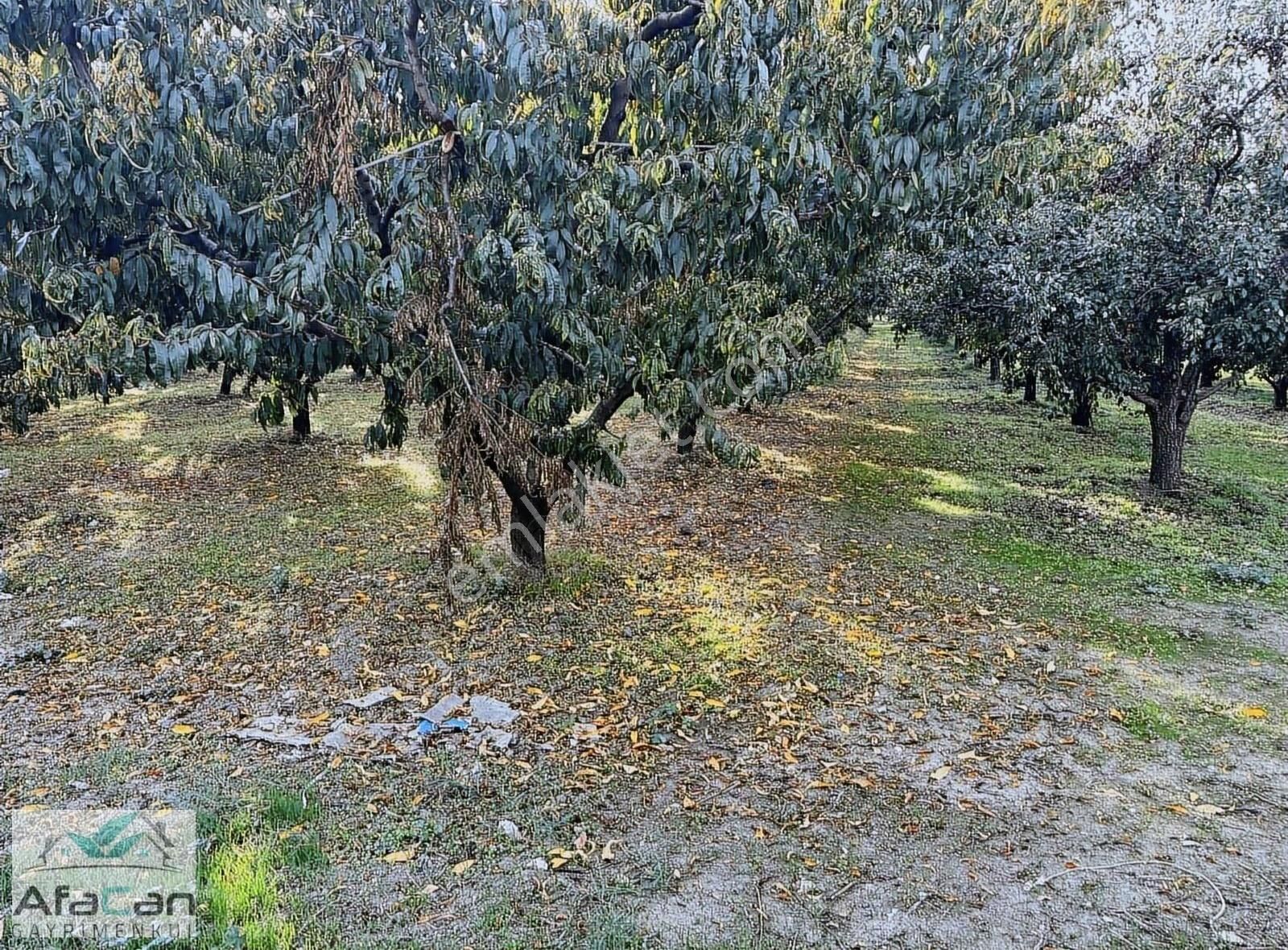 Bursa Yeniceabat Okullar Bölgesi Arkası 5173 M2 Mükemmel Arazi! - Görsel 18