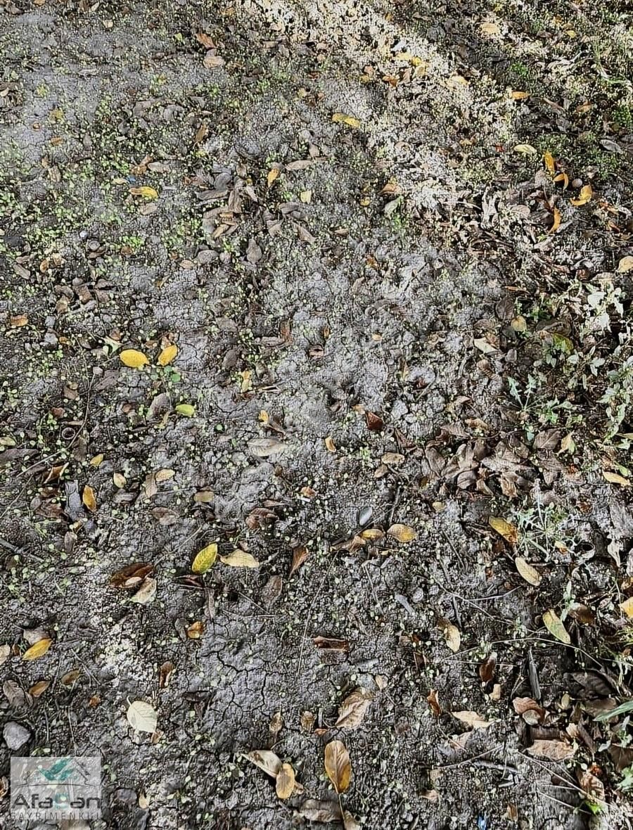 Bursa Yeniceabat Okullar Bölgesi Arkası 5173 M2 Mükemmel Arazi! - Görsel 21