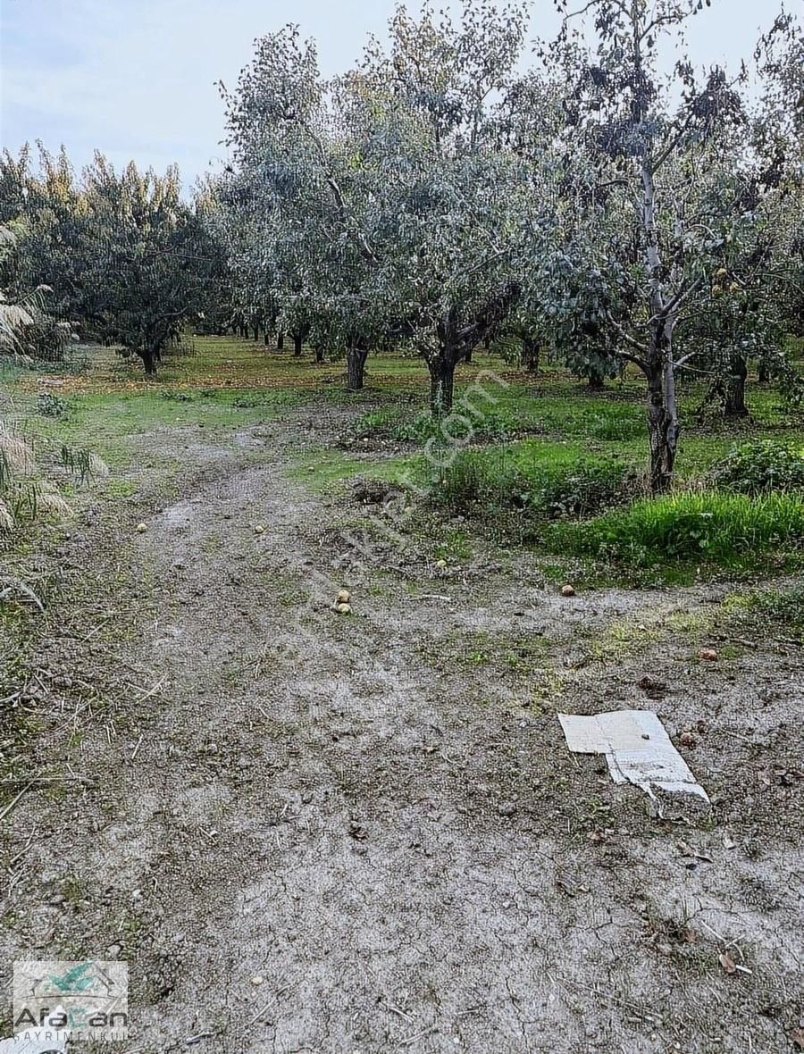 Bursa Yeniceabat Okullar Bölgesi Arkası 5173 M2 Mükemmel Arazi! - Görsel 16