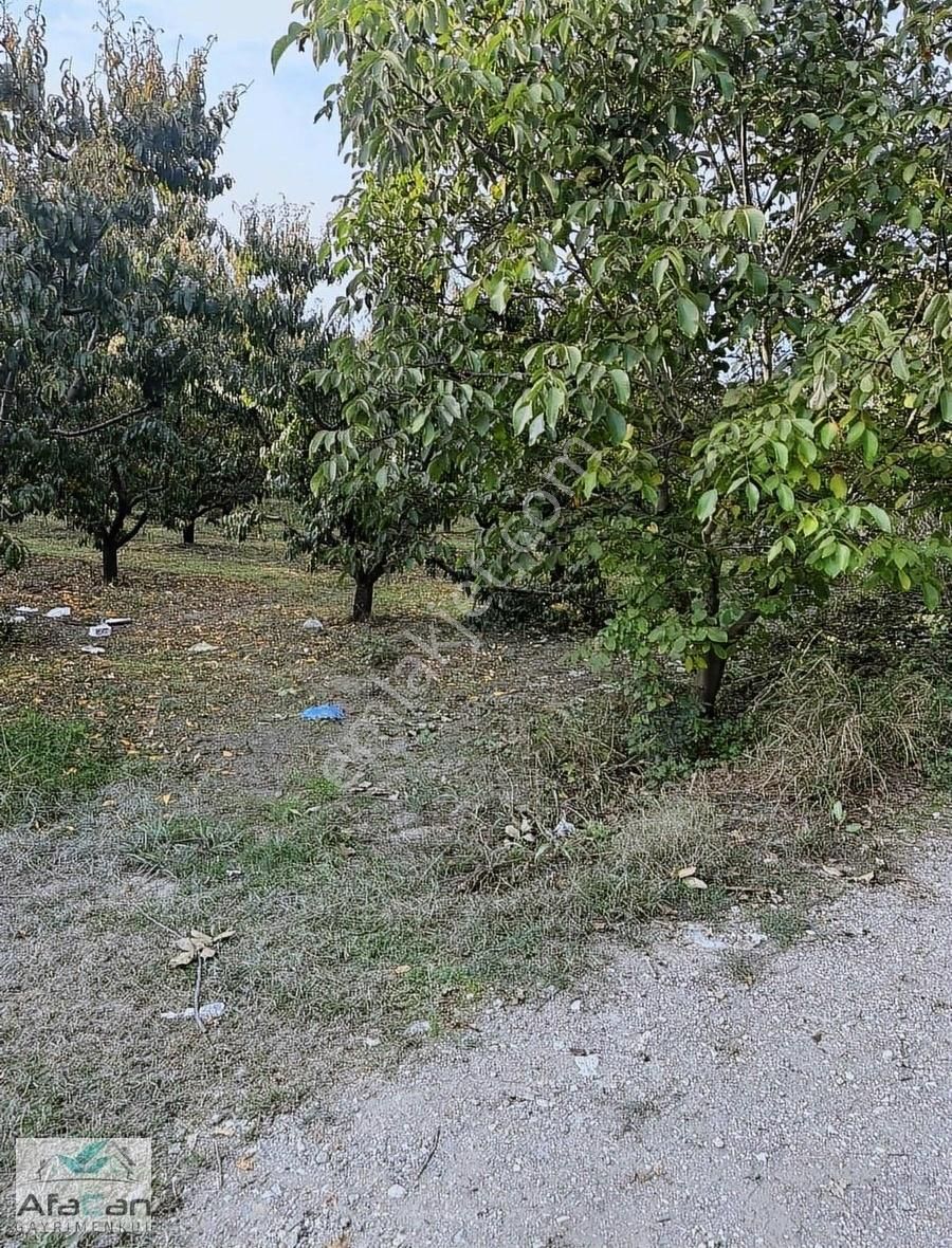 Bursa Yeniceabat Okullar Bölgesi Arkası 5173 M2 Mükemmel Arazi! - Görsel 9