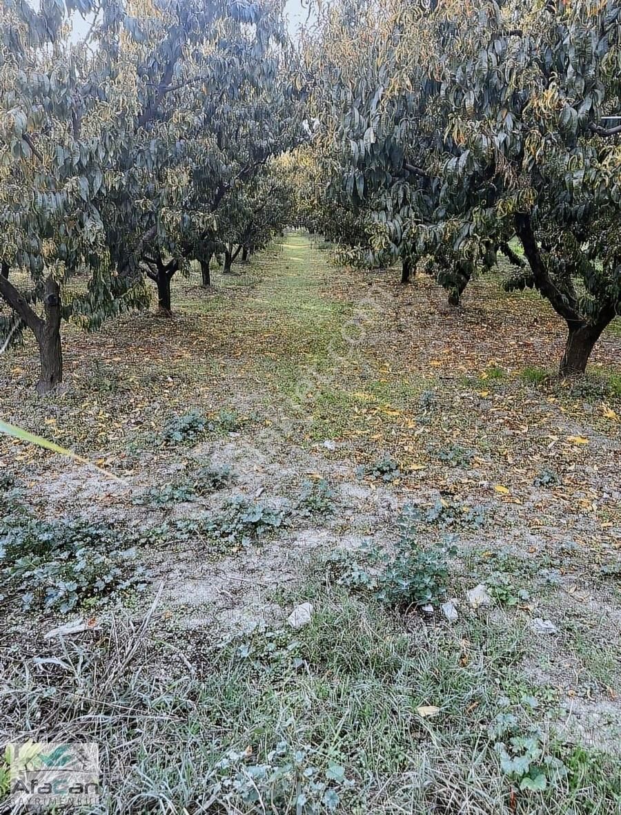 Bursa Yeniceabat Okullar Bölgesi Arkası 5173 M2 Mükemmel Arazi! - Görsel 3