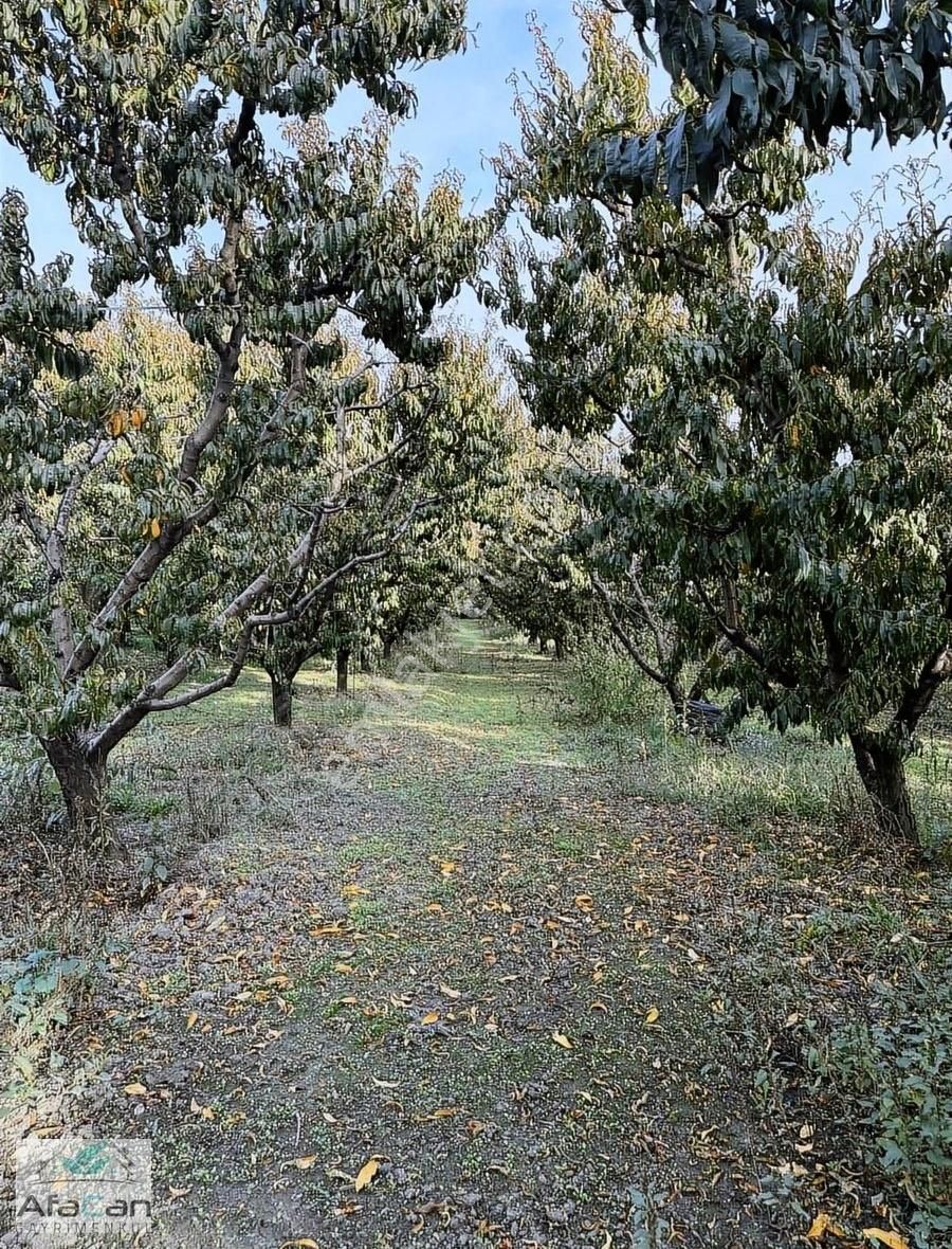 Bursa Yeniceabat Okullar Bölgesi Arkası 5173 M2 Mükemmel Arazi! - Görsel 6