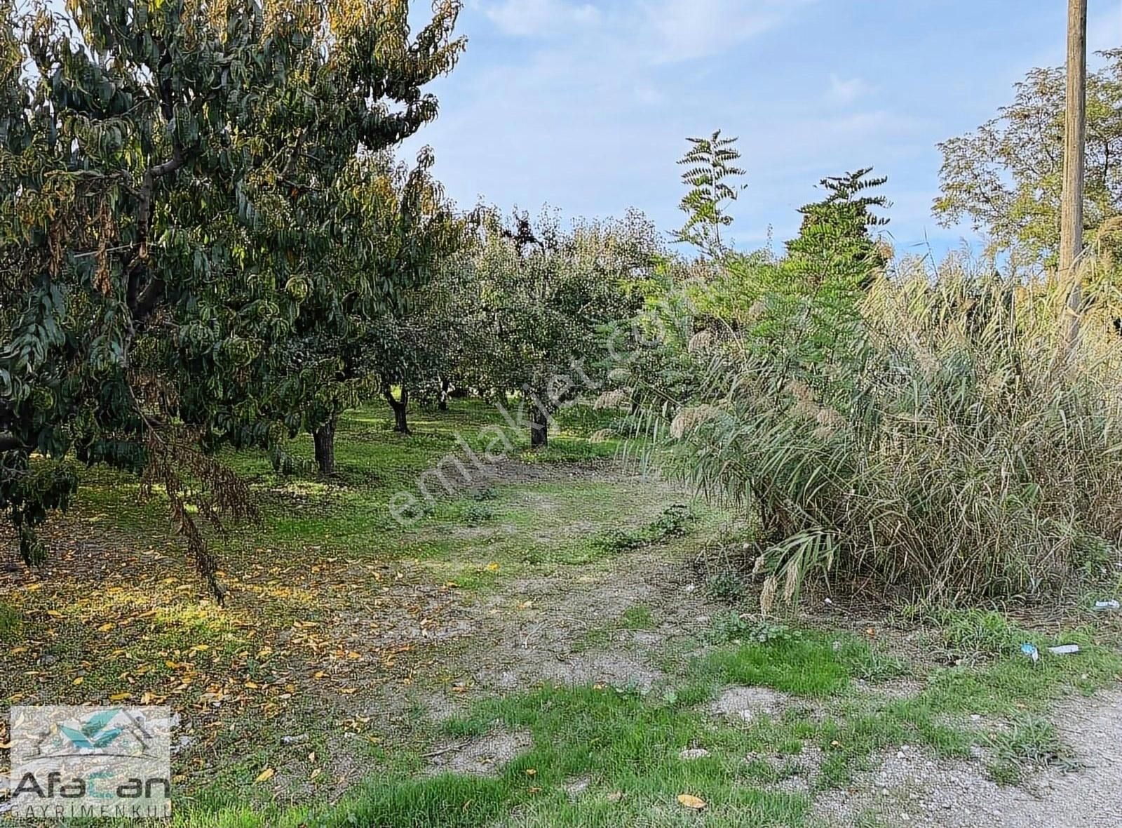 Bursa Yeniceabat Okullar Bölgesi Arkası 5173 M2 Mükemmel Arazi! - Görsel 13